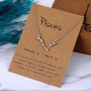 🎉 New Pisces Zodiac Sign Silver Plated Adjustable Necklace